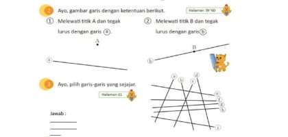 LKPD Matematika Garis Sejajar PDF